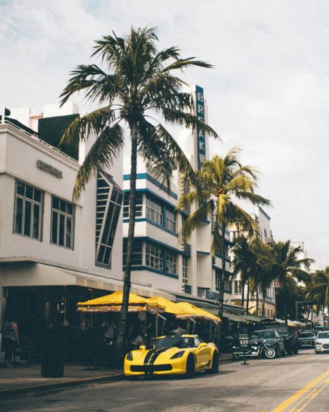 corvette stripes san diego